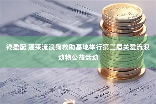 钱盈配 蓬莱流浪狗救助基地举行第二届关爱流浪动物公益活动